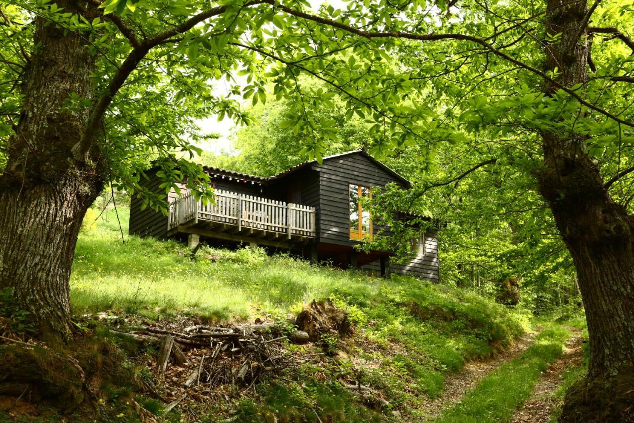 Les Grangeonnes, Gites Nature, Piscine, Bain Nordique, Sauna Pour Accueil Familiale Ou De Groupe Saint-Basile Dış mekan fotoğraf